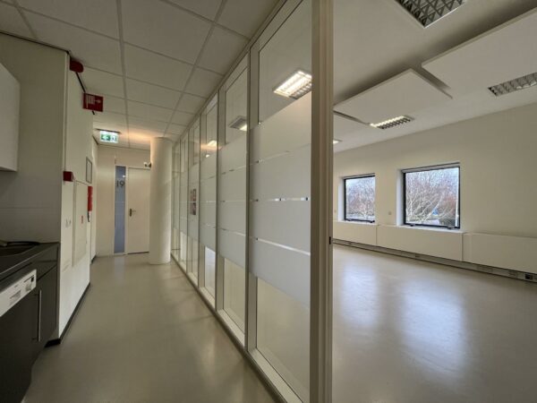 Lichte, moderne kantoorruimte in Leidse Rijn met glazen wanden en uitzicht op bomen.